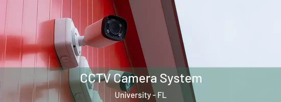  CCTV Camera System University - FL