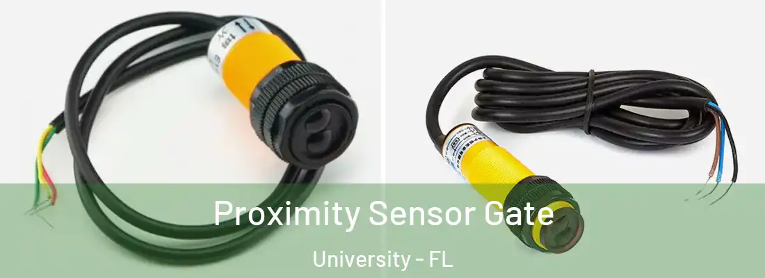  Proximity Sensor Gate University - FL
